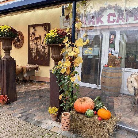 Ferienwohnungen Park Cafe Am Kurpark Bernkastel-Kues Εξωτερικό φωτογραφία